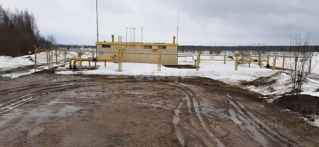 Участок в Архангельская область, Котласский муниципальный округ, д. ... - Фото 1