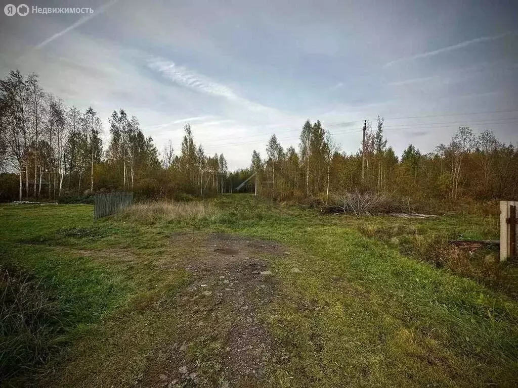 Участок в Малая Вишера, 3-я Парковая улица, 15 (12 м) - Фото 2