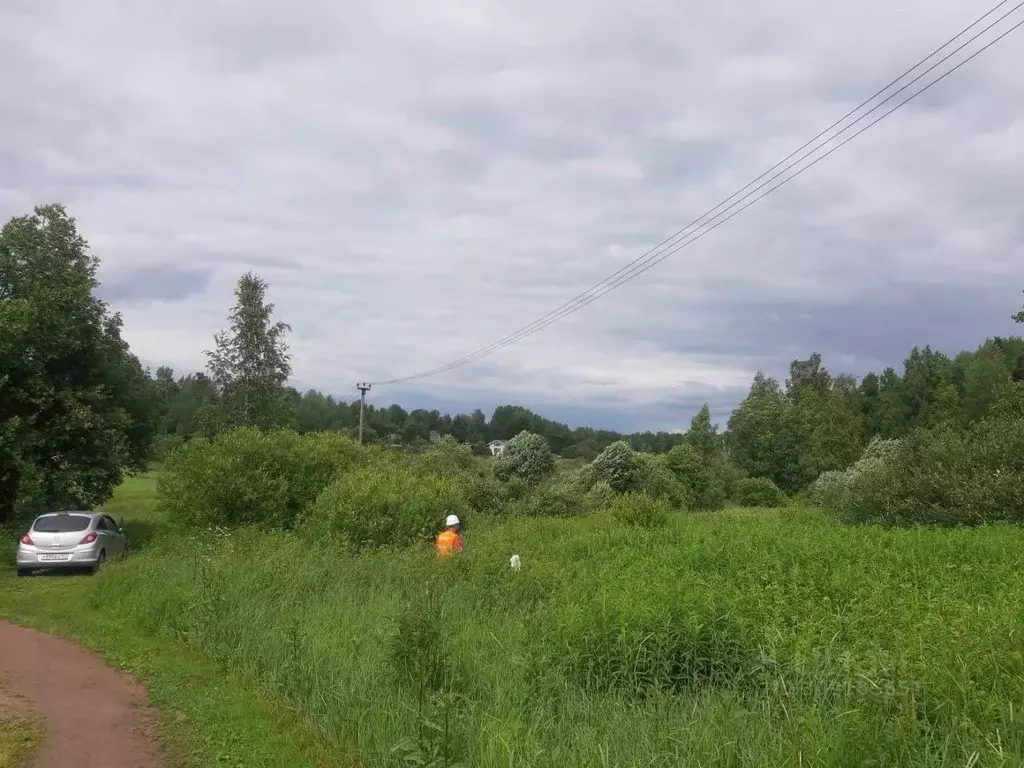 Участок в Ленинградская область, Приозерский район, Кузнечнинское ... - Фото 0