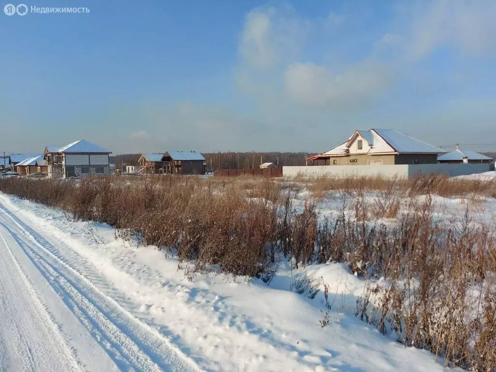 Участок в деревня Кривское, Полевая улица (6 м) - Фото 0