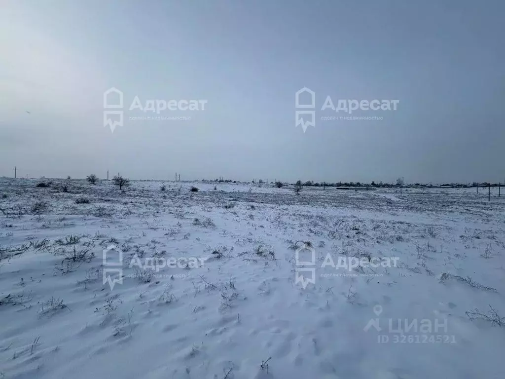 Участок в Волгоградская область, Волгоград Рабочий поселок Горьковский ... - Фото 1