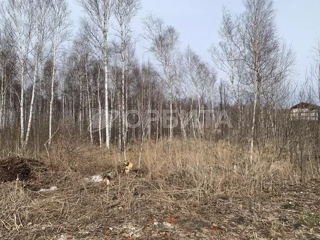 Участок в Тюменская область, Нижнетавдинский район, Сочинские СНТ  ... - Фото 1