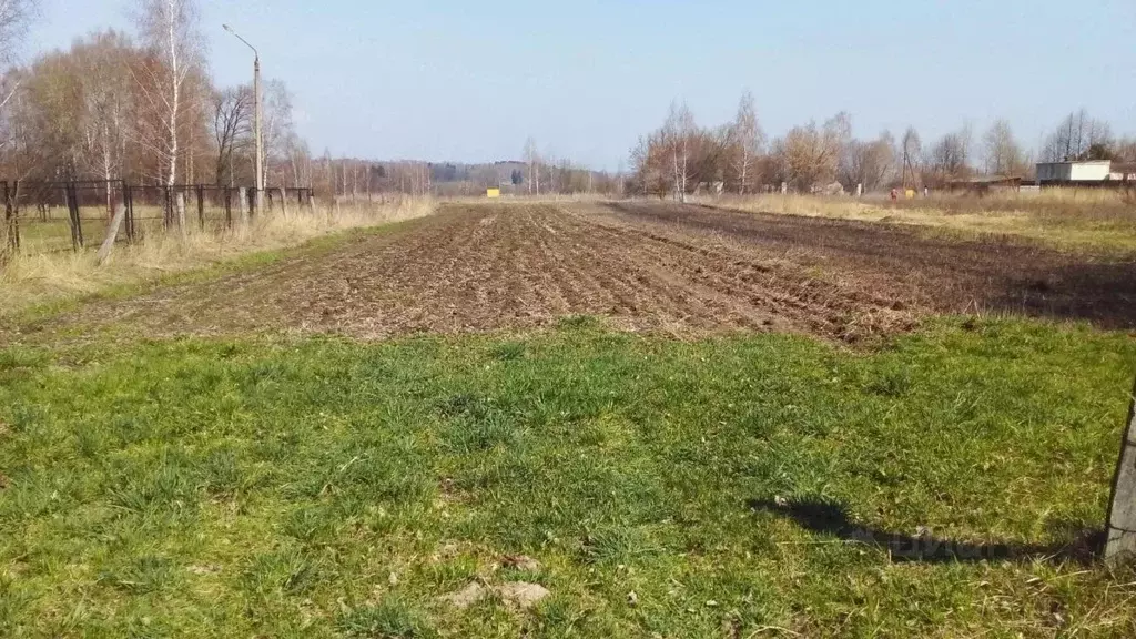 Участок в Брянская область, Выгоничское городское поселение, с. Лопушь ... - Фото 1