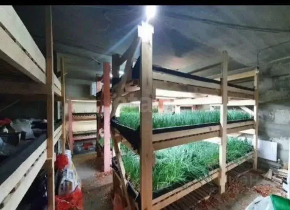 Помещение свободного назначения в Белгородская область, Белгородский ... - Фото 2