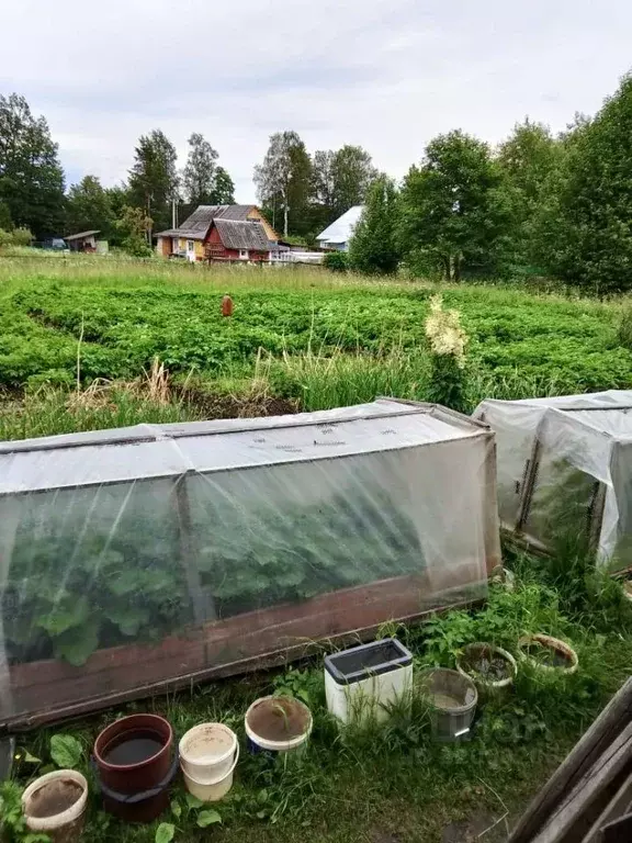 Дом в Ленинградская область, Гатчинский муниципальный округ, Дружная ... - Фото 1