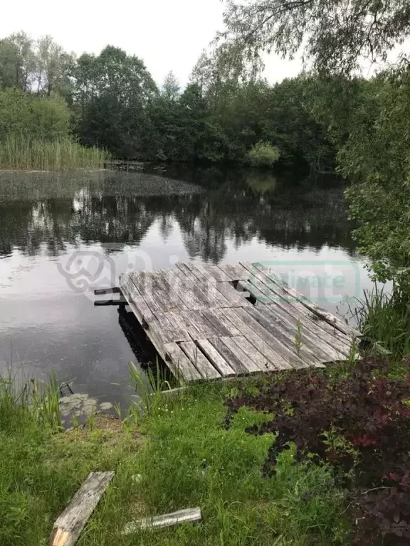 Дом в Калининградская область, Славский муниципальный округ, пос. ... - Фото 1