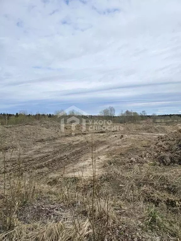 Участок в Ленинградская область, Ломоносовский район, Лопухинское ... - Фото 0