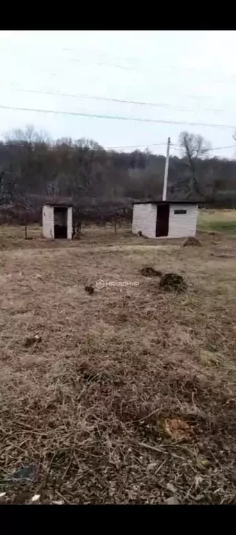 Участок в Орловская область, Орловский муниципальный округ, Нива СНТ ... - Фото 1