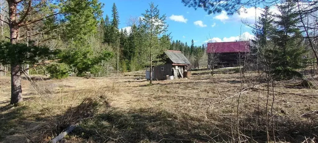 Участок в Карелия, Прионежский район, Деревянское с/пос, Турист СНТ  ... - Фото 0