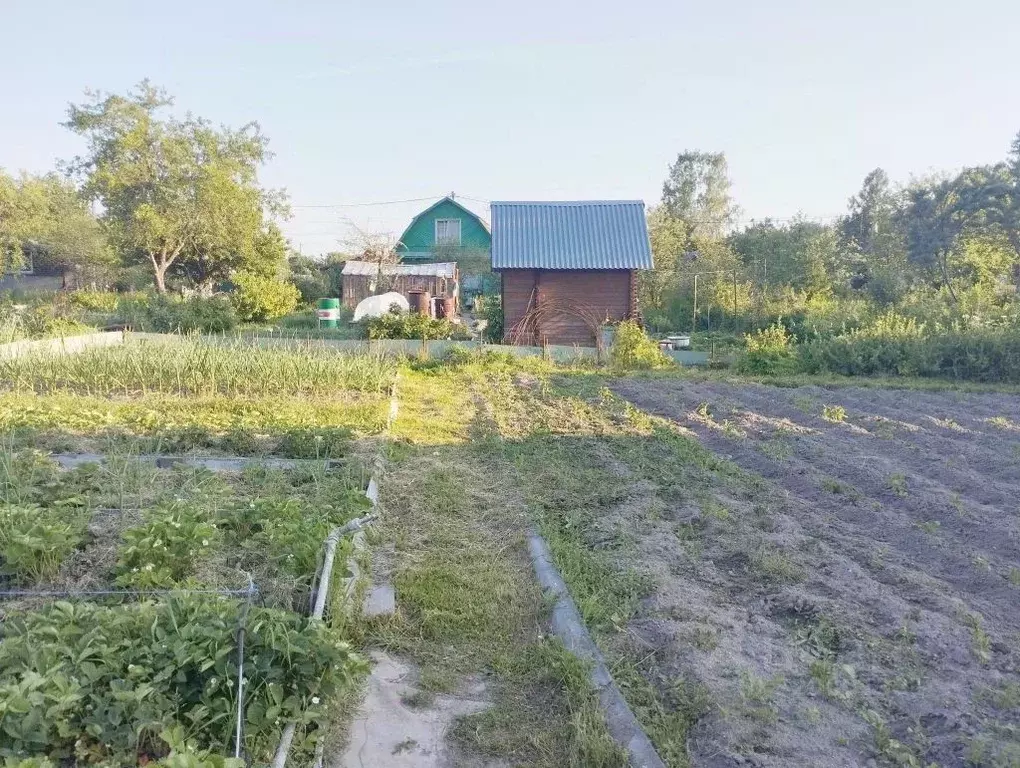 Дом в Костромская область, Кострома Северный СНТ,  (20 м) - Фото 1