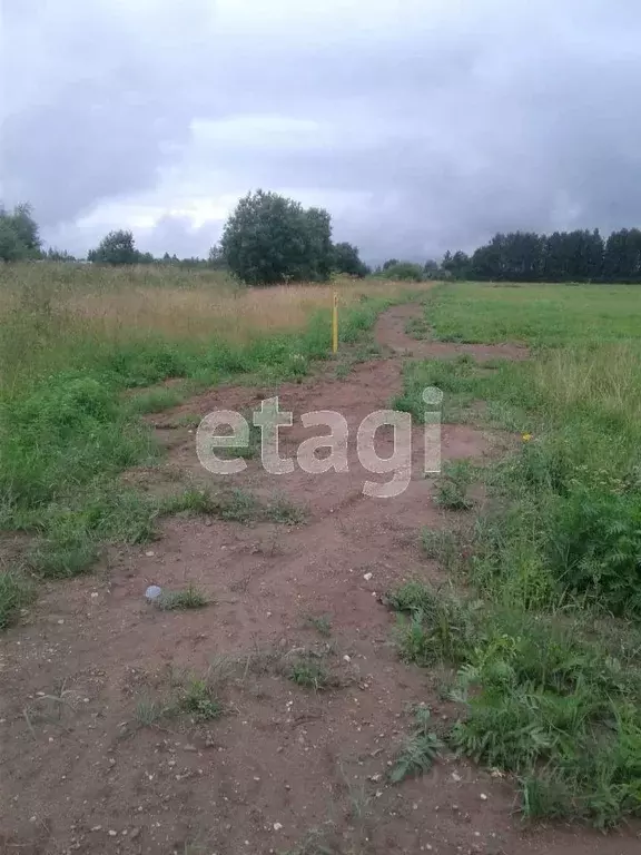 Участок в Архангельская область, Котласский муниципальный округ, д. ... - Фото 1