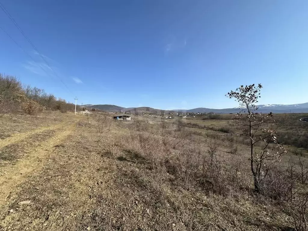 Участок в Севастополь Красный Октябрь КСП,  (243.45 сот.) - Фото 0