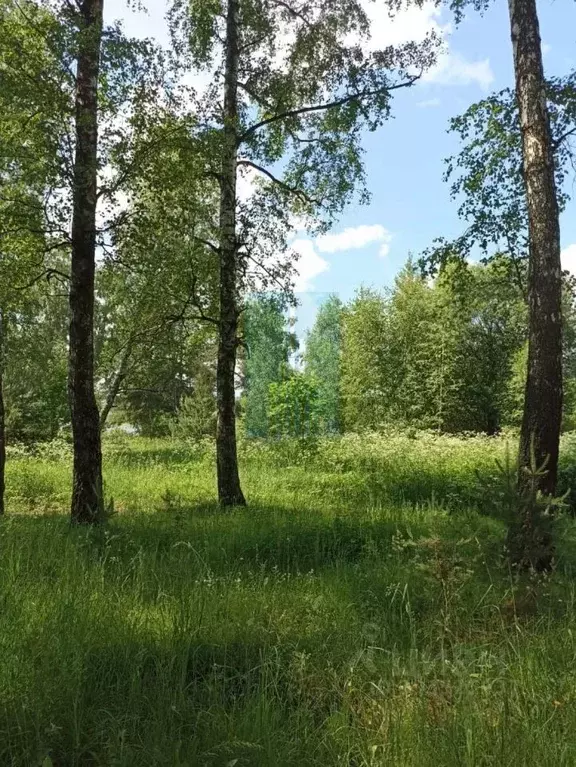 Участок в Московская область, Ступино городской округ, с. Ивановское ... - Фото 1