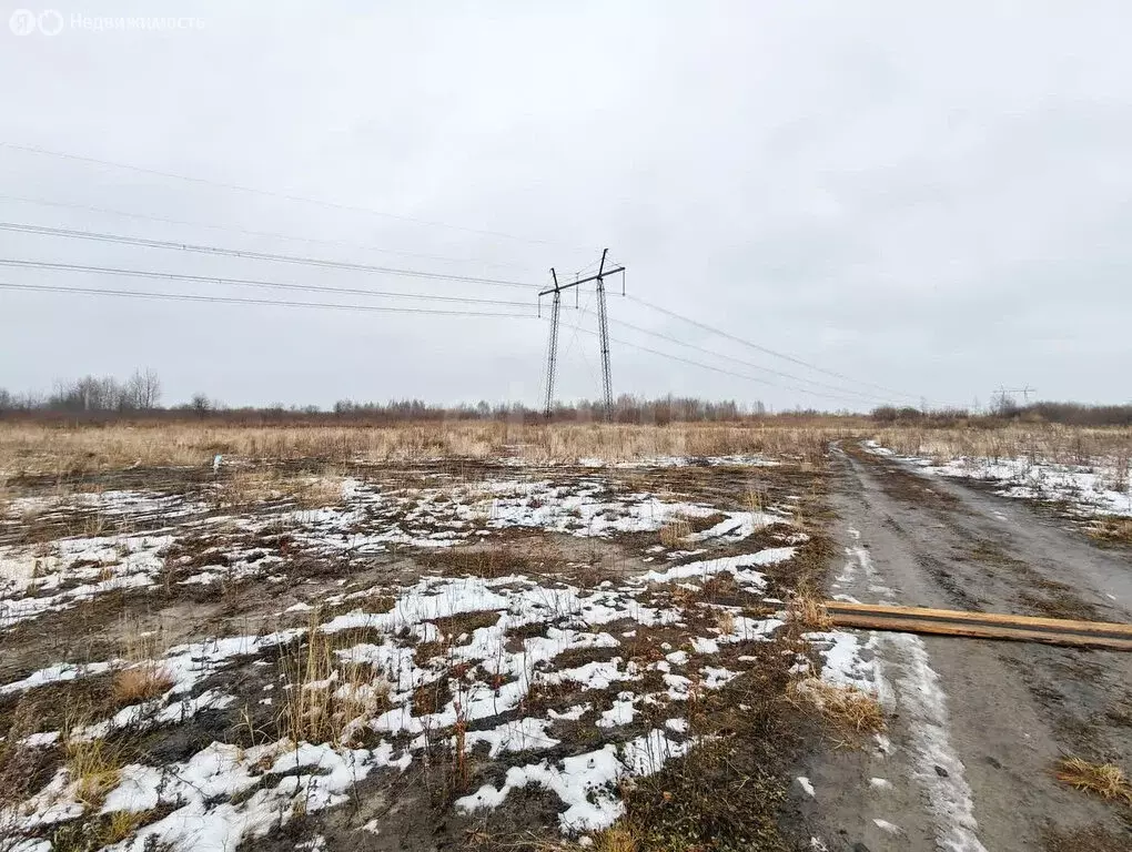 Участок в Тюмень, садовое общество Дубок (10 м) - Фото 1