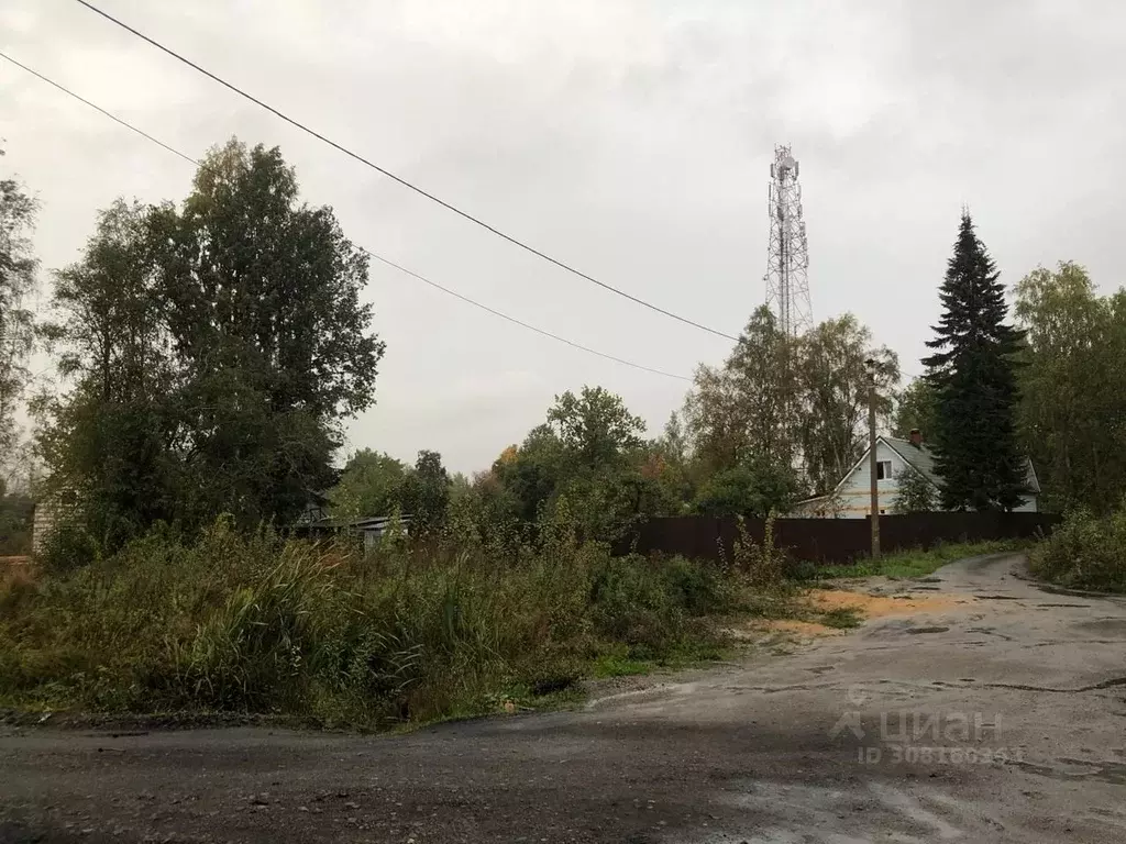 Участок в Ленинградская область, Всеволожский район, Куйвозовское ... - Фото 1