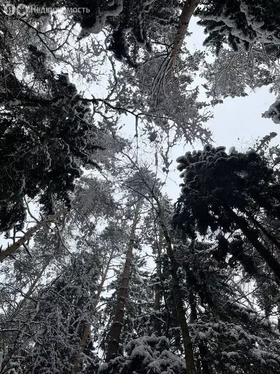 Участок в деревня Сарженка, дачное некоммерческое партнёрство Лесной ... - Фото 1