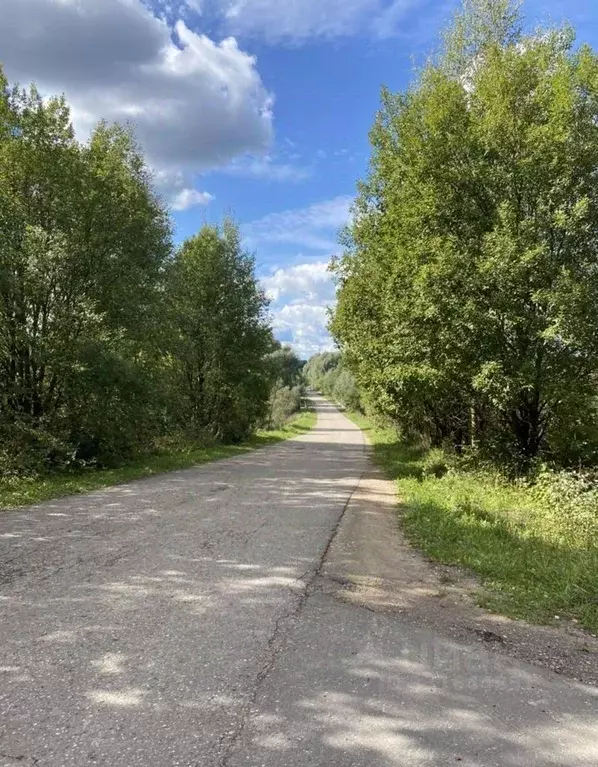 Участок в Московская область, Истра муниципальный округ, д. Филатово  ... - Фото 2