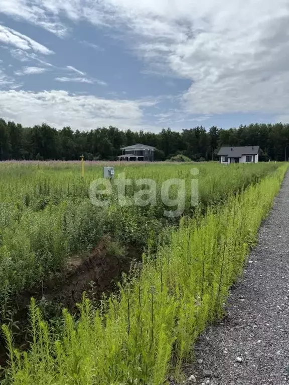 Участок в Тюменская область, Тюменский муниципальный округ, с. ... - Фото 1