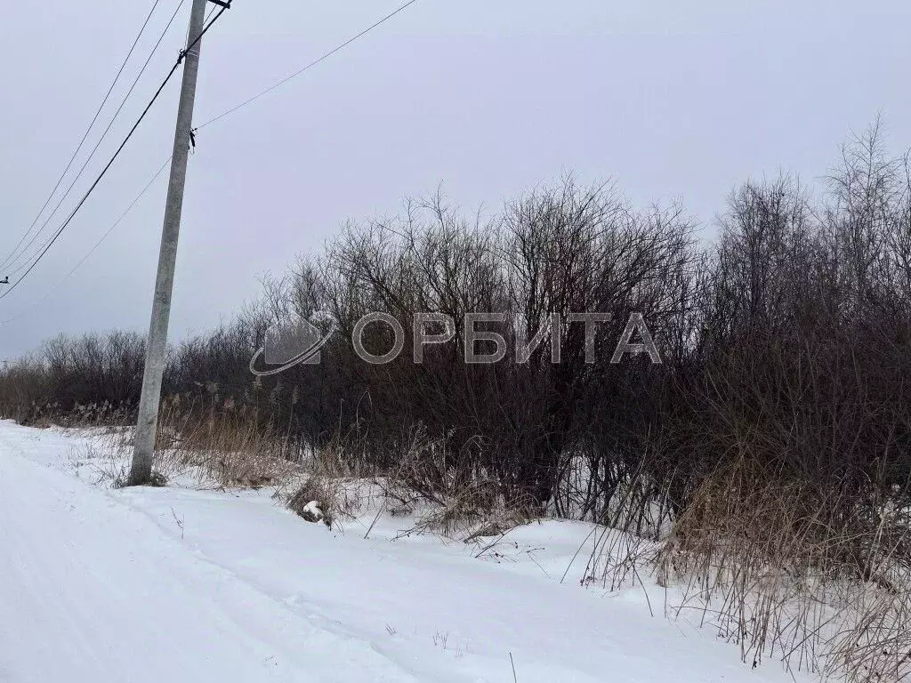 Участок в Тюменская область, Тюмень Поле Чудес садовое товарищество, ... - Фото 0