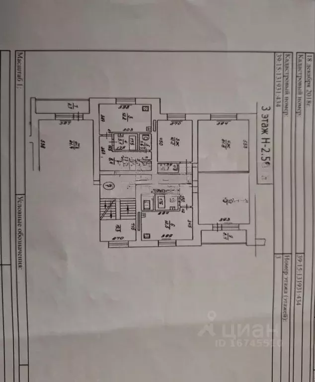 3-к кв. Калининградская область, Калининград ул. Еловая Аллея, 62 ... - Фото 1