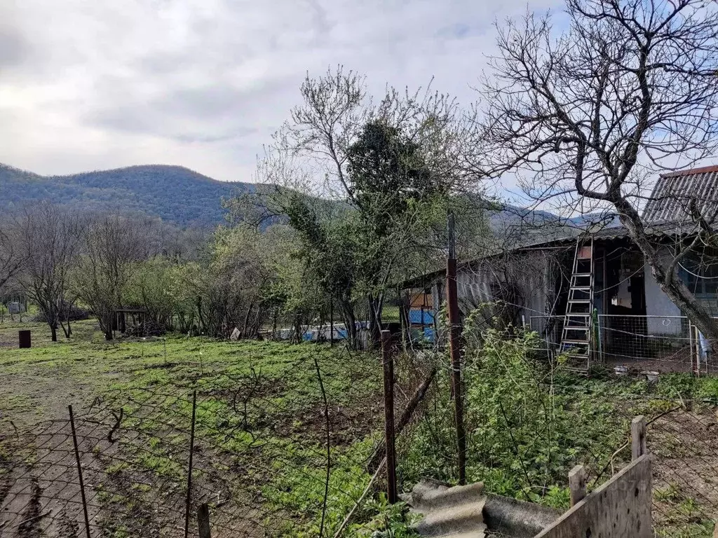 Участок в Краснодарский край, Геленджик муниципальное образование, с. ... - Фото 0