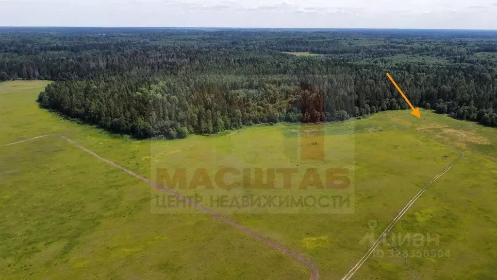 Участок в Ленинградская область, Волосовский район, Клопицкое с/пос, ... - Фото 2