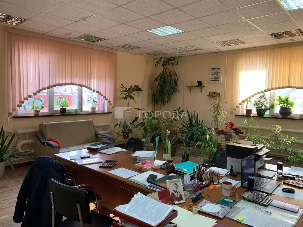 Помещение свободного назначения в Новосибирская область, Новосибирск ... - Фото 1