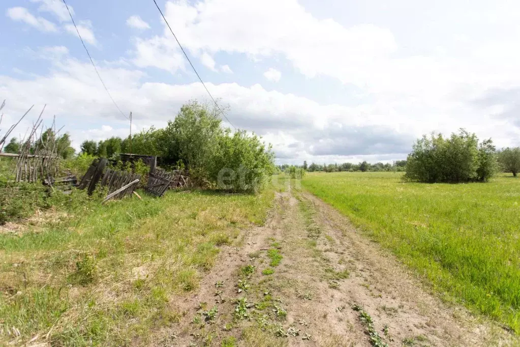 Участок в Тюменская область, Тобольск городской округ, пос. Сумкино ... - Фото 1