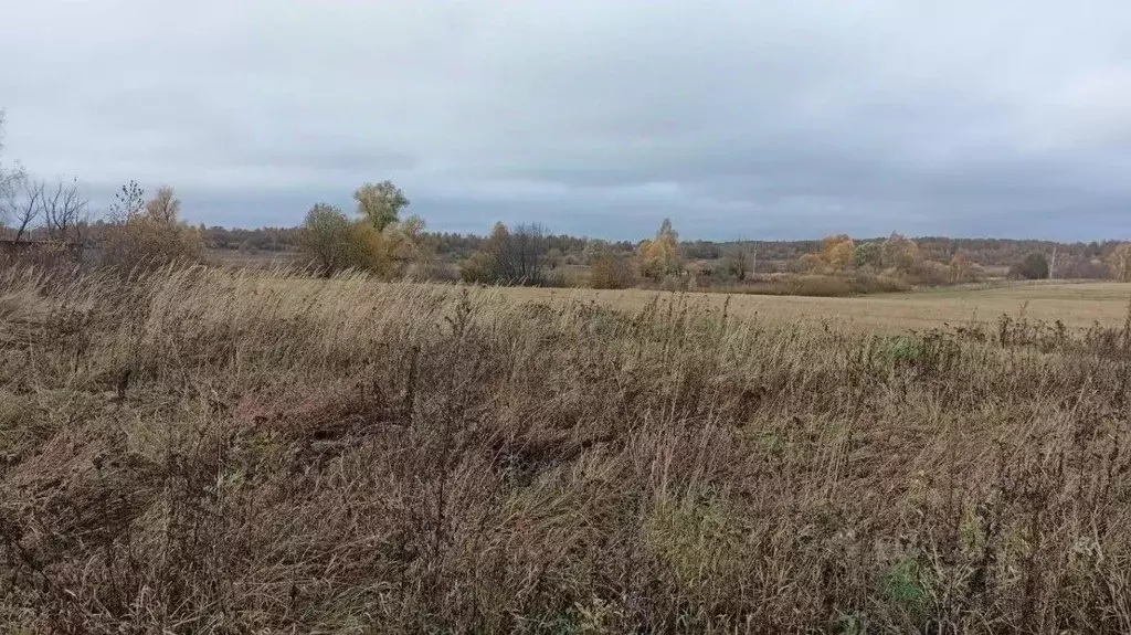 Участок в Московская область, Дмитровский муниципальный округ, д. ... - Фото 0