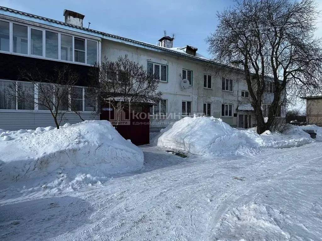 3-к кв. Владимирская область, Суздальский муниципальный округ, с. ... - Фото 1