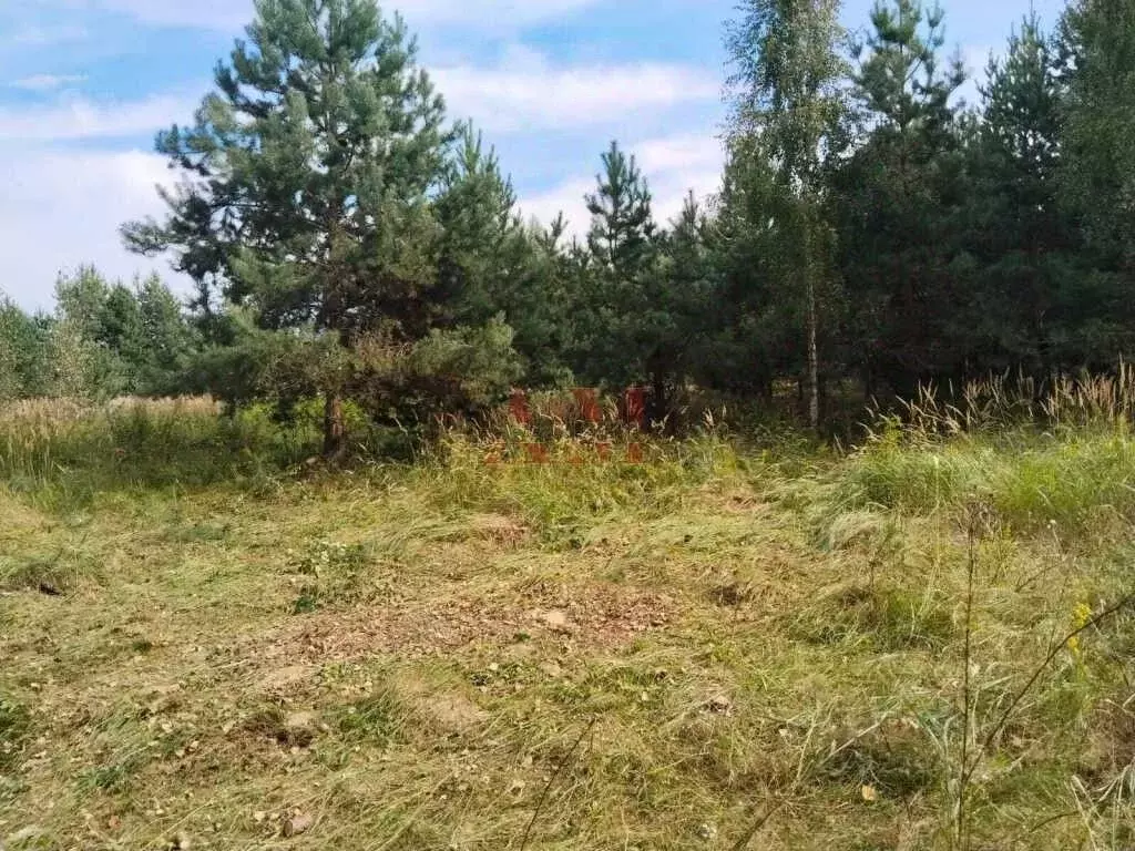 Участок в Владимирская область, Камешковский муниципальный округ, д. ... - Фото 1