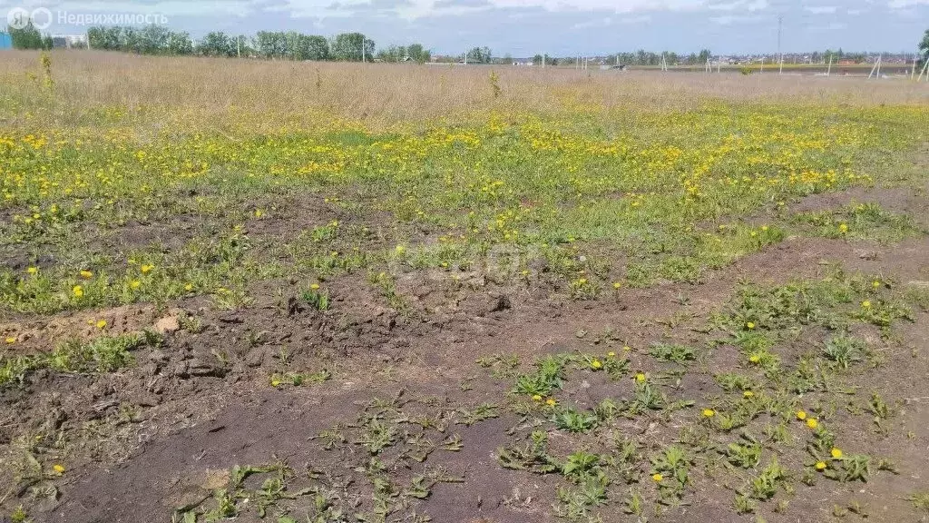 Участок в Белгородская область, Яковлевский муниципальный округ, село ... - Фото 0