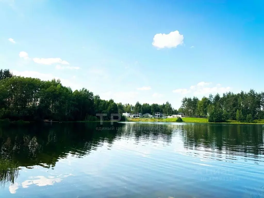 Участок в Ленинградская область, Всеволожский район, Рахьинское ... - Фото 2