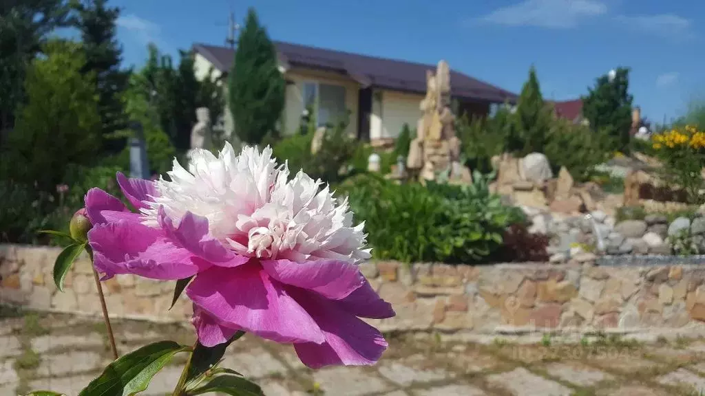 Дом в Новгородская область, Новгородский район, Трубичинское с/пос, д. ... - Фото 1