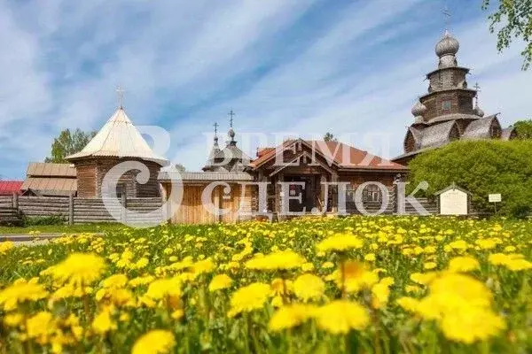 Дом в Владимирская область, Суздаль Дмитриевская ул., 7 (87 м) - Фото 1
