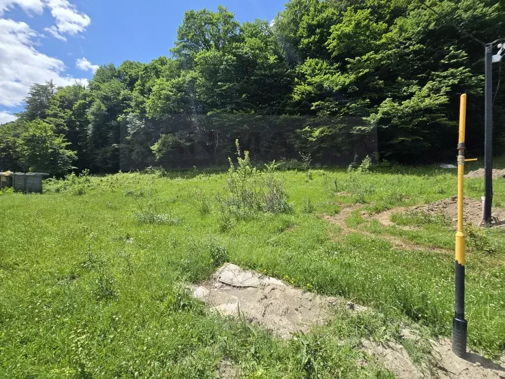 Участок в Адыгея, Майкопский район, Даховское с/пос, пос. Гузерипль  ... - Фото 2