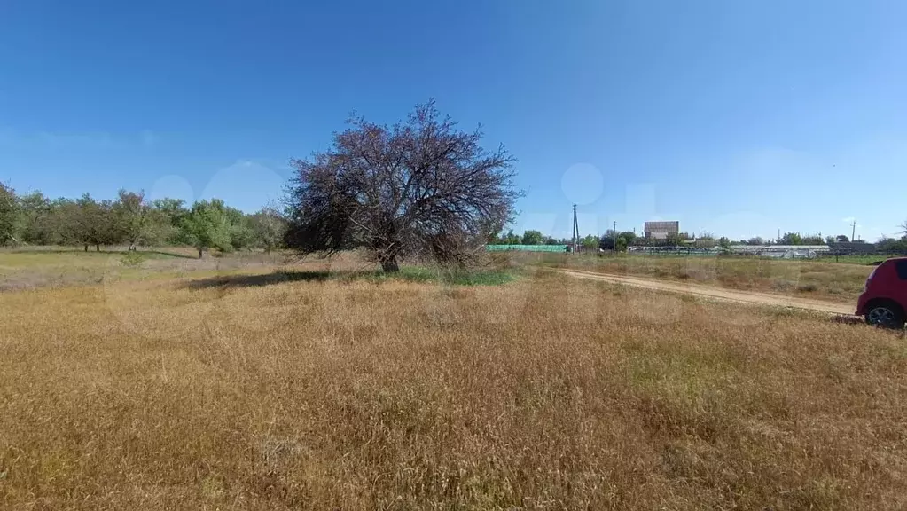 Участок 94,4 сот. (СНТ, ДНП) - Фото 1