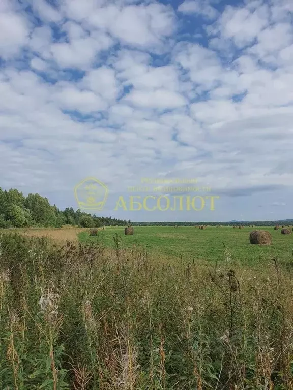 Участок в Свердловская область, Ревда  (100.0 сот.) - Фото 1