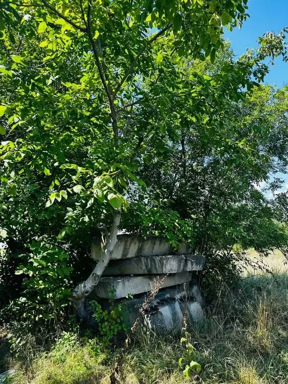 Участок в Краснодарский край, Лабинск Рассвет садоводческое ... - Фото 0
