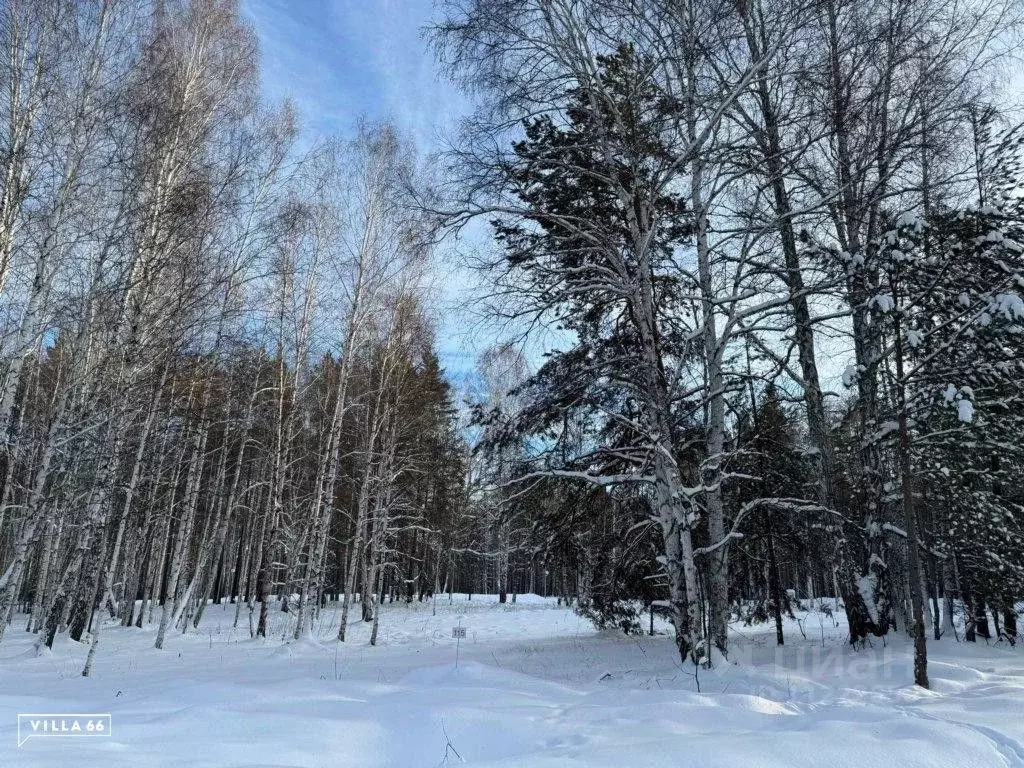 Участок в Свердловская область, Сысертский городской округ, пос. ... - Фото 0