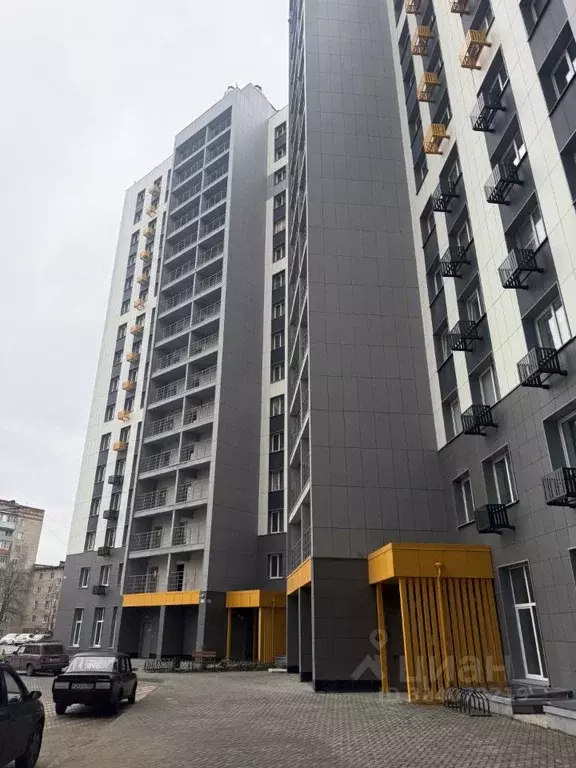 1-к кв. Московская область, Красноармейск Пушкинский городской округ, ... - Фото 2