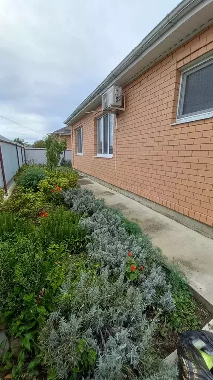 Дом в Краснодарский край, Белореченск туп. Мельничный, 1 (50 м) - Фото 2