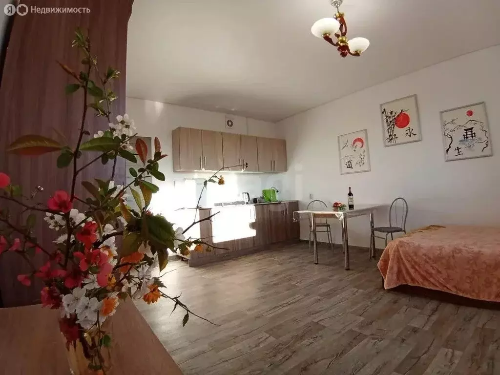 Квартира-студия: Краснодар, улица имени Ф.И. Шаляпина, 30/1 (29.2 м) - Фото 2