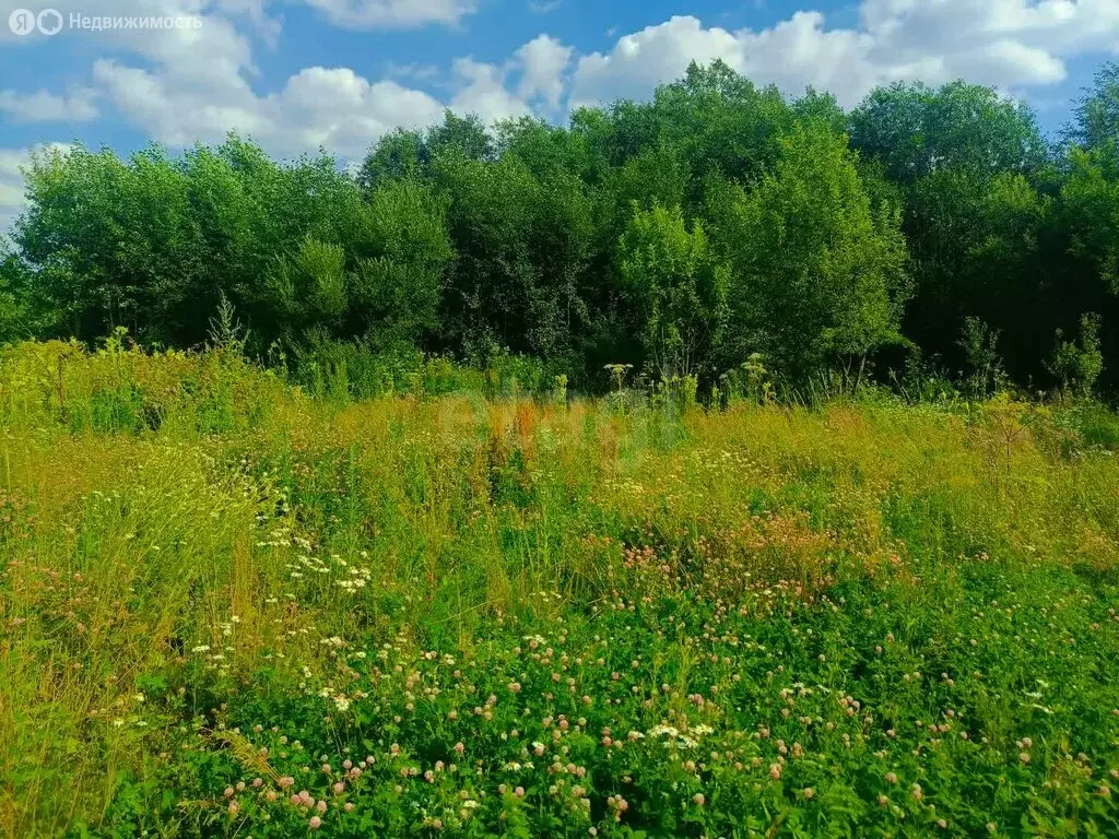 Участок в посёлок городского типа Красное-на-Волге, посёлок ... - Фото 0