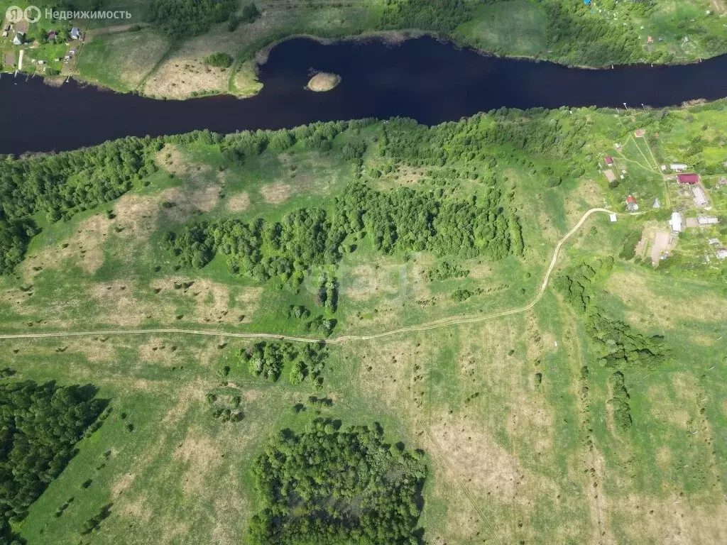 Участок в Вологодская область, Кирилловский муниципальный округ, ... - Фото 2