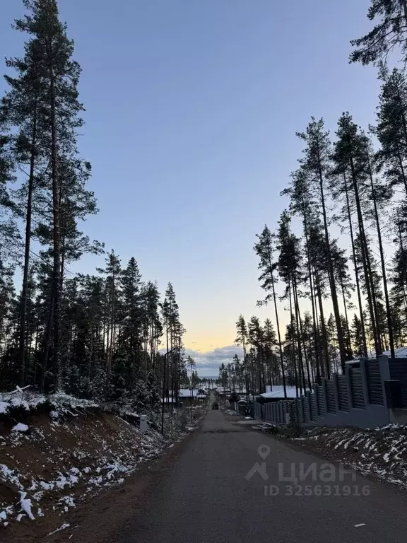 Участок в Ленинградская область, Выборгский район, Полянское с/пос, ... - Фото 2