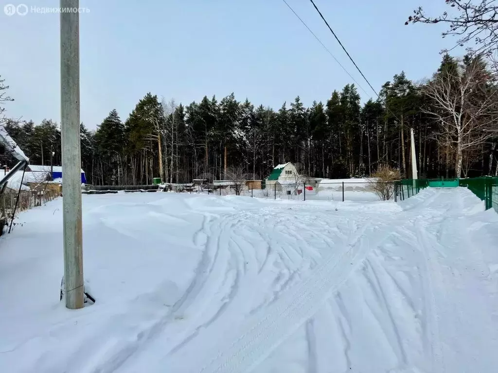 Участок в Тюмень, СНТ Лесник, улица Пчеловодов (6.1 м) - Фото 2