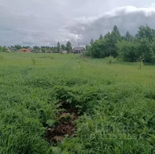 Участок в Московская область, Серпухов городской округ, д. Нефедово  ... - Фото 1