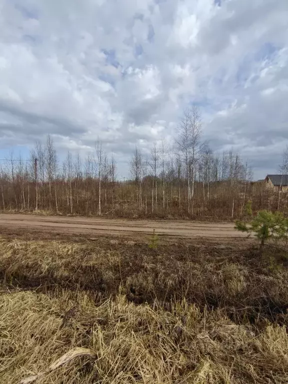 Участок в Новгородская область, Новгородский район, Бронницкое с/пос, ... - Фото 2