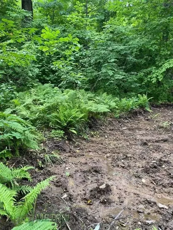 Участок в Приморский край, Артем Южное СНТ,  (9.94 сот.) - Фото 2